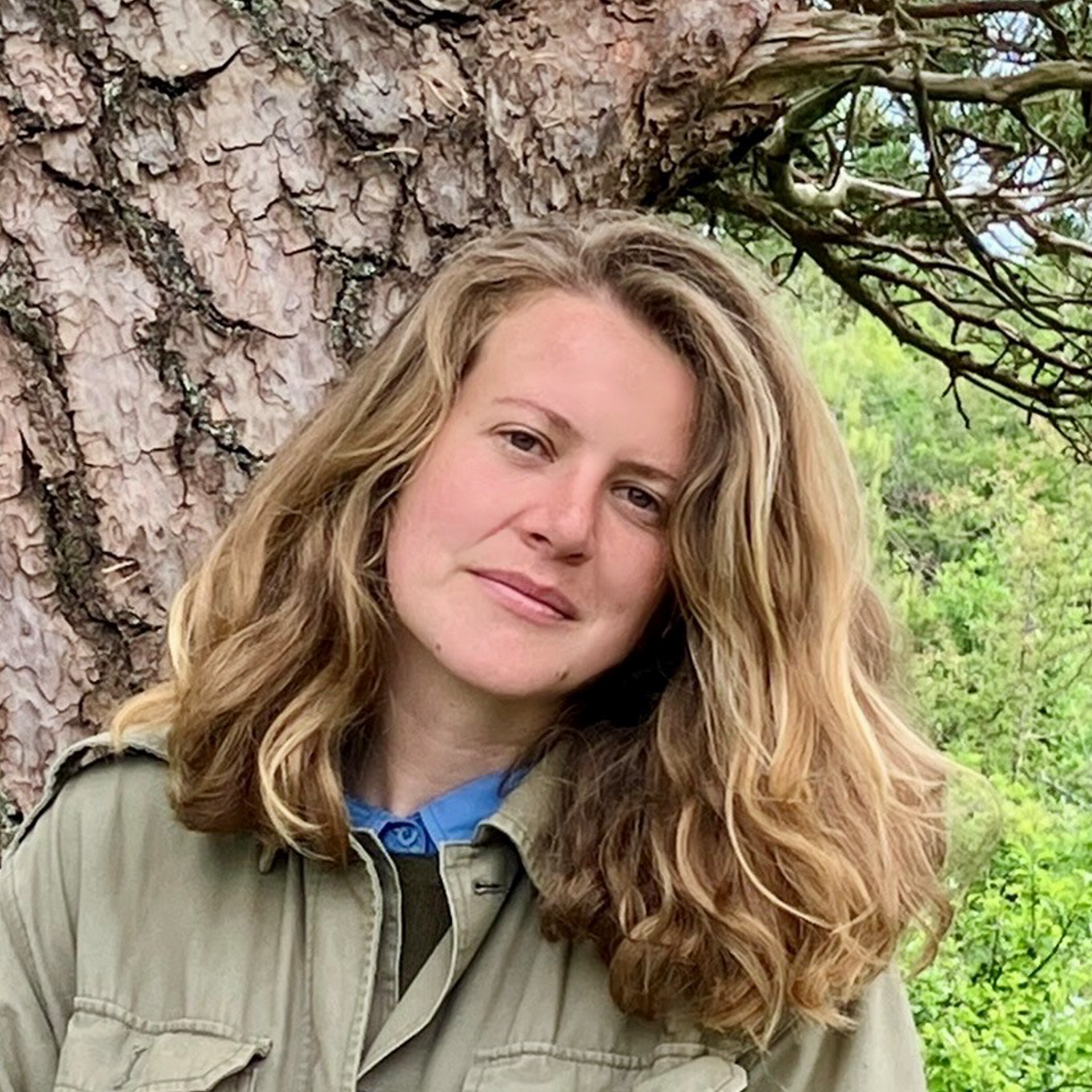 Ingrid Rix The Genius of Trees | How To Academy