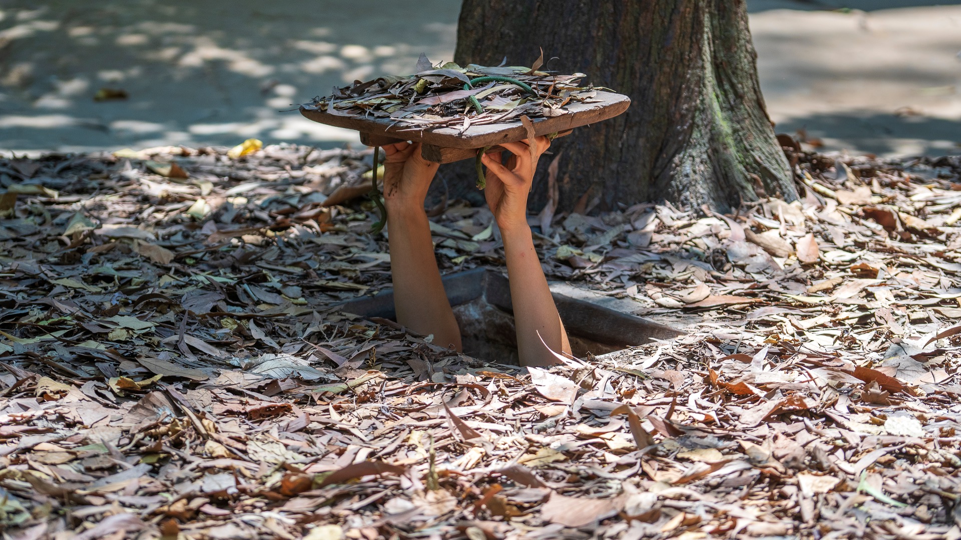 The Land Trap A New History Of The World S Oldest Asset How To Academy